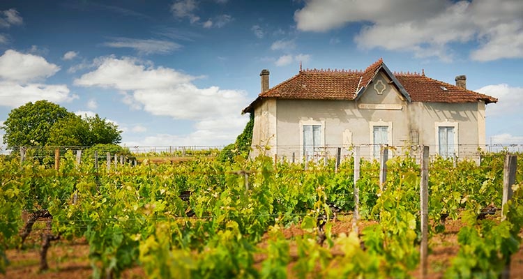 Bellevue Mondotte-chateau